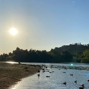 Meet your Posher, Sofia